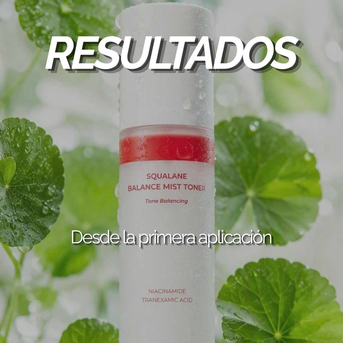 MERYO BLANCE MIST TONER